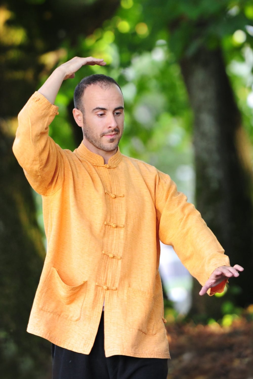 Yannick Bizien: Medecin Traditionnel Chinois agréé RME à Lausanne - Qi-Qong, Massage Tui-Na, Pharmacopée, Acupuncture à Lausanne  