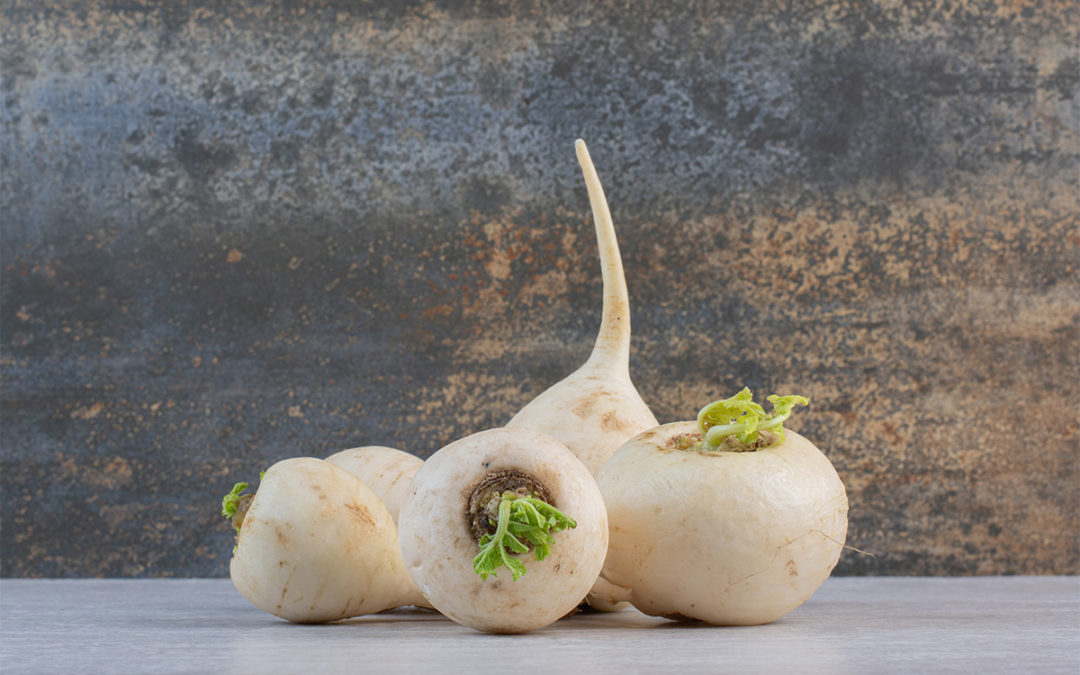 Les vertus du navet
