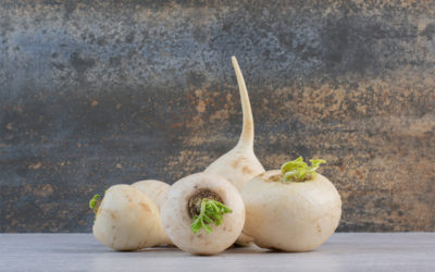 Les vertus du navet