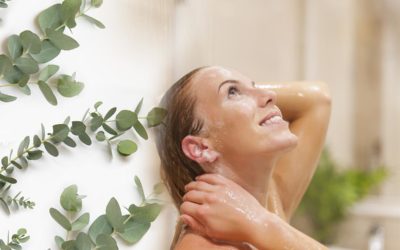 Les vertus de l’eucalyptus le matin